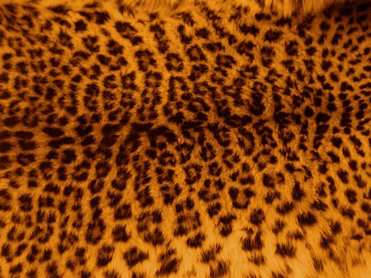 Техника выполнения леопардового маникюра