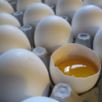 Диета на яйцах