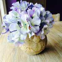 http://anydaylife.com/uploads/articles/hobby/plants/care/how-to-care-for-hydrangea-1.jpg