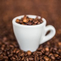 Самый дорогой кофе в мире