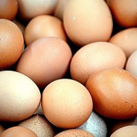 Как подделывают продукты: искусственные куриные яйца