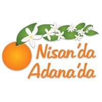 Карнавал цветения апельсинов в Адане