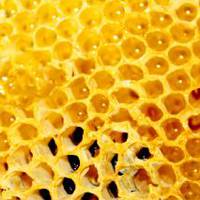 Антицеллюлитные обертывания с медом