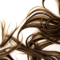 Иллюстрация к статье Как подстричь себе волосы