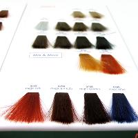 Иллюстрация к статье Как выбрать цвет волос