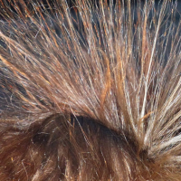 Спрей-антистатик для волос в домашних условиях