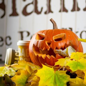 Как украсить класс на Хэллоуин: популярные идеи