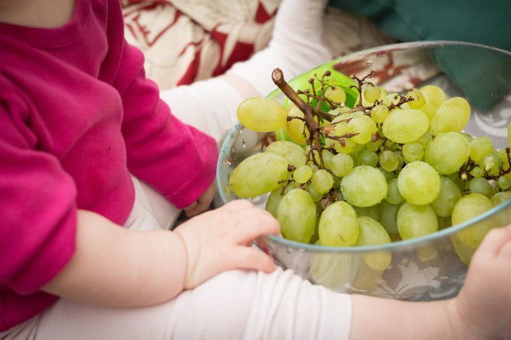 Как научить ребенка есть фрукты и ягоды