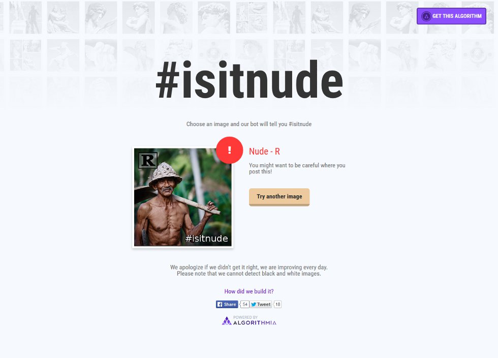 Пример проверки в IsItNude: фото определено как Nude