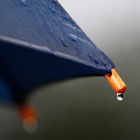 Иллюстрация к статье Как выбрать зонт
