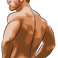 Иллюстрация к статье Как накачать мышцы спины