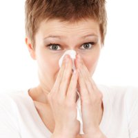 Аллергия на тополиный пух
