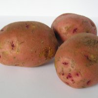 Иллюстрация к статье Как подготовить картофель к посадке