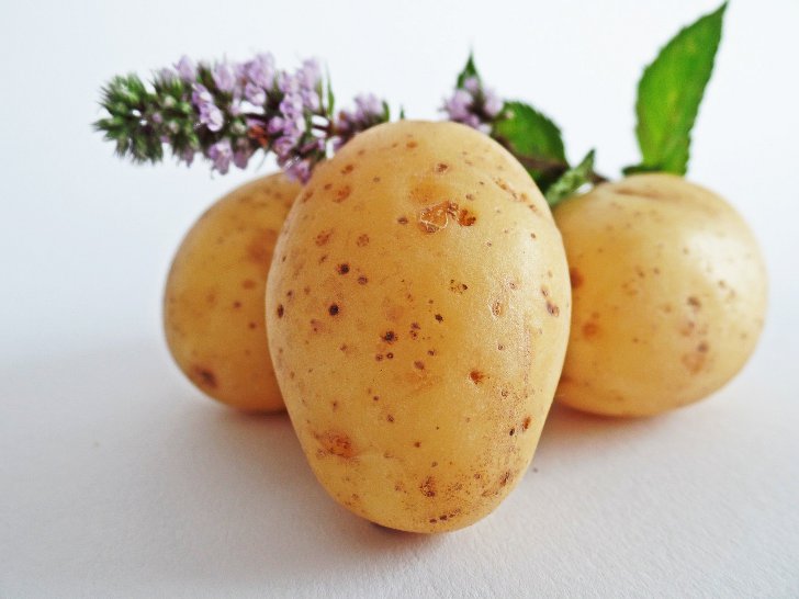 Как делать внекорневую подкормку картофеля