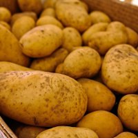 Иллюстрация к статье Внекорневая подкормка картофеля: правила и рецепты