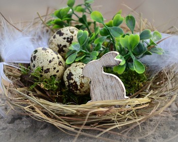 Гнездо для пасхальных яиц из природного материала