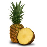 Иллюстрация к статье Как вырастить ананас дома
