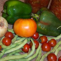 Иллюстрация к статье Как выбрать сушилку для овощей и фруктов