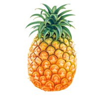 Как выбрать спелый ананас