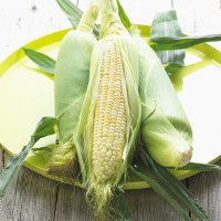 Домашняя консервированная кукуруза: способы приготовления