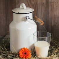 Иллюстрация к статье Как обезжирить молоко в домашних условиях