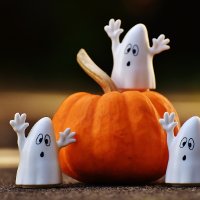 Иллюстрация к статье Что приготовить на Хэллоуин? Идеи блюд из тыквы