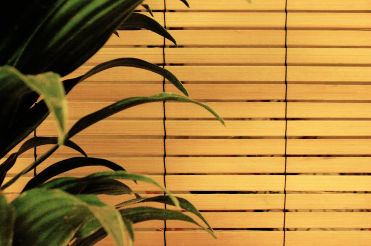 Бамбуковые шторы