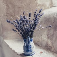 «Вечный» букет, или как сохранить цветы навсегда
