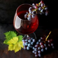 Иллюстрация к статье Как сочетать вино с фастфудом