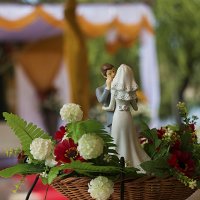 Как провести свадьбу без гостей