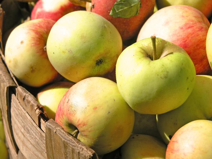 Рецепты моченых яблок