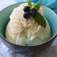 Рецепты мороженого в домашних условиях без сливок