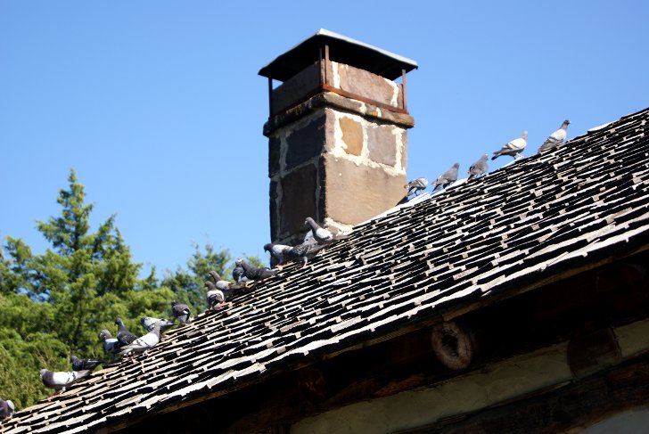 Теплоизоляция крыши