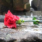 День памяти жертв погромов в Сумгаите, Баку и Кировабаде