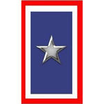 День служебного знамени «Серебряная звезда» в США