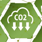 Международный день сокращения выбросов CO2