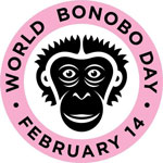 Всемирный день бонобо