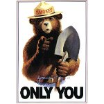 День рождения медведя Смоки (День защиты леса от пожара) в США