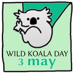 День диких коал в Австралии
