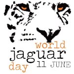 Всемирный день ягуара