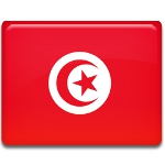 День второй Жасминовой революции в Тунисе