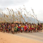 Праздник умхланга в Эсватини (Свазиленде)