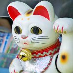 День кошки в Японии