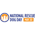 Национальный день спасения собак в США