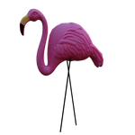 День розового фламинго в США