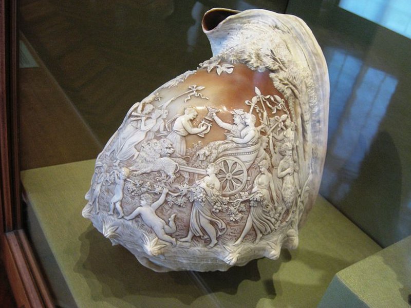 Итальянская камея XVIII века на морской раковине