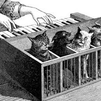 Необычные музыкальные инструменты: кошачье фортепиано