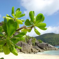 10 фактов о Сейшельских Островах