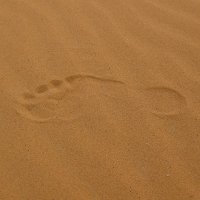 Каркросс: самая маленькая пустыня в мире