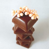 Топ-5 самых дорогих шоколадных конфет